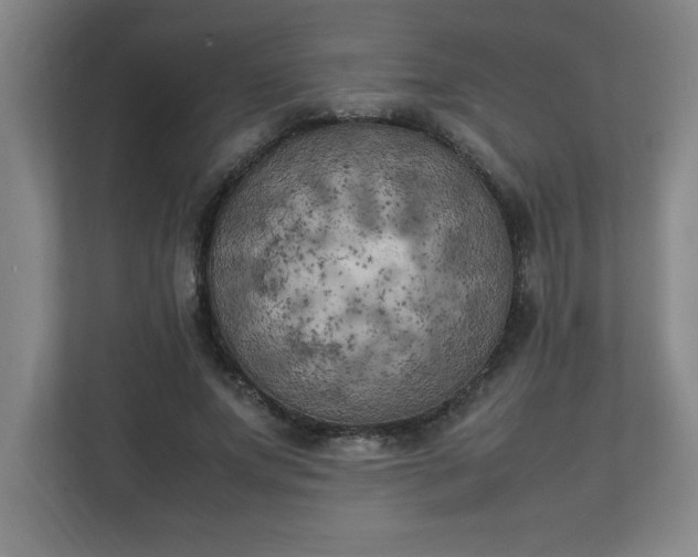 X0000111150687200907071109