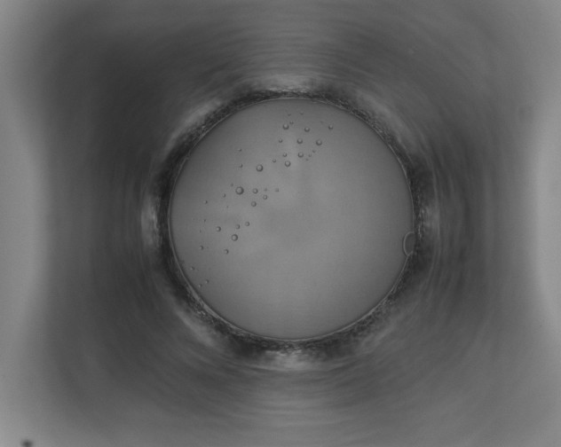 X0000111150688200907071109