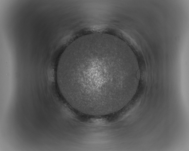 X0000111150689200907071109