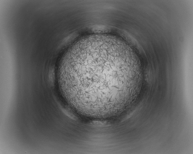X0000111150690200907071109
