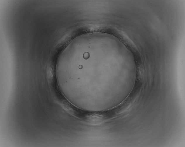 X0000111150691200907071109