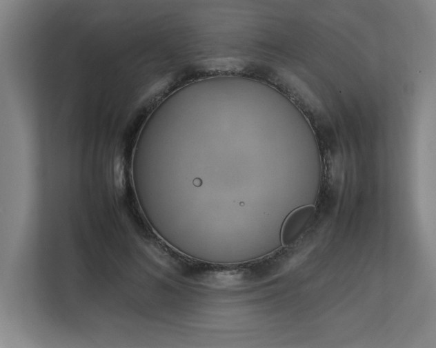 X0000111150692200907071109