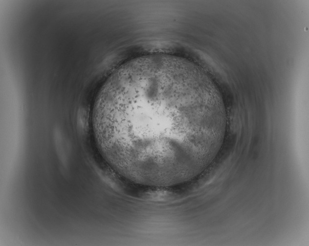X0000111150695200907071109