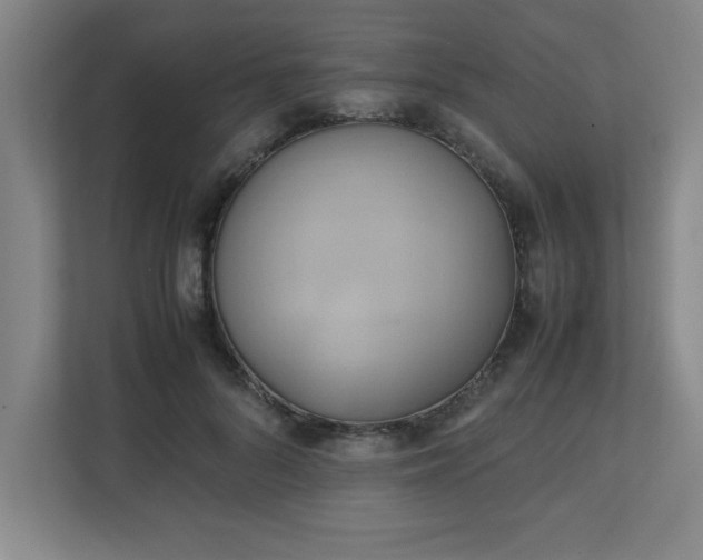 X0000111150696200907071109
