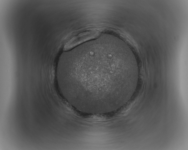 X0000111150697200907071109