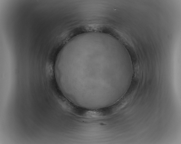 X0000111150699200907071109