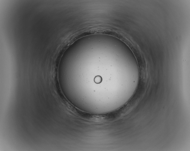 X0000111150701200907071109