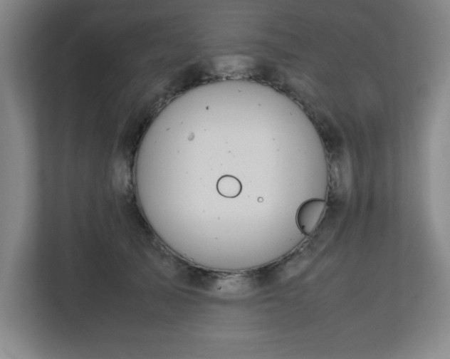 X0000111150705200907071109
