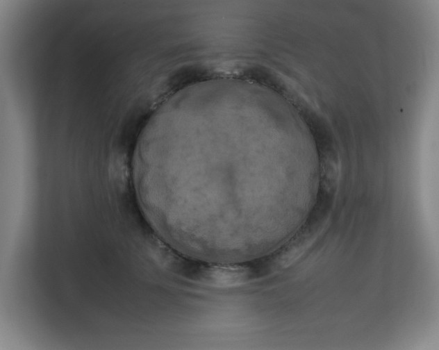 X0000111150707200907071109