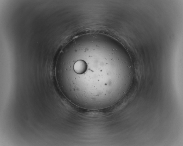 X0000111150708200907071109