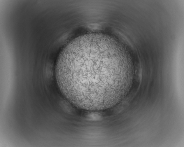 X0000111150710200907071109