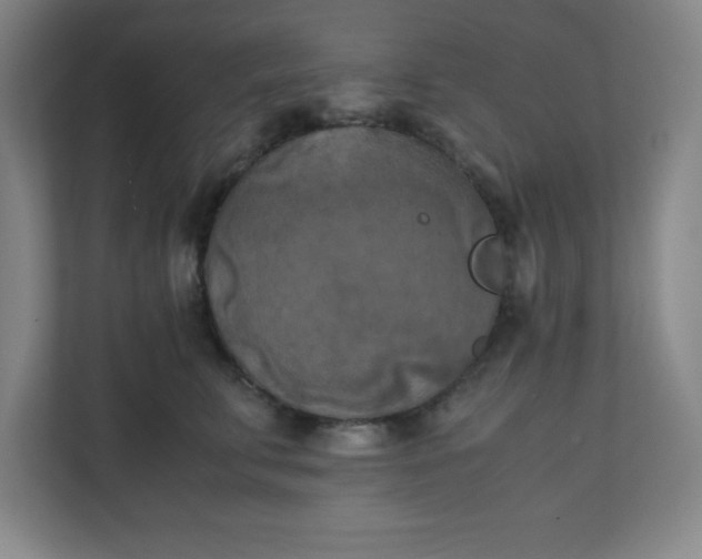 X0000111150711200907071109