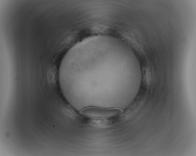 X0000111150712200907071109