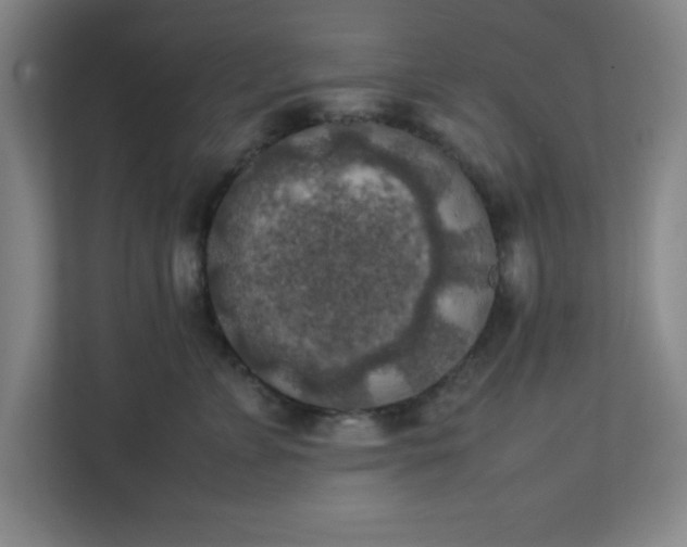 X0000111150715200907071109