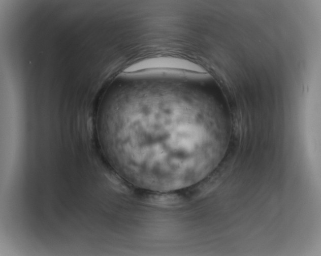 X0000111150716200907071109