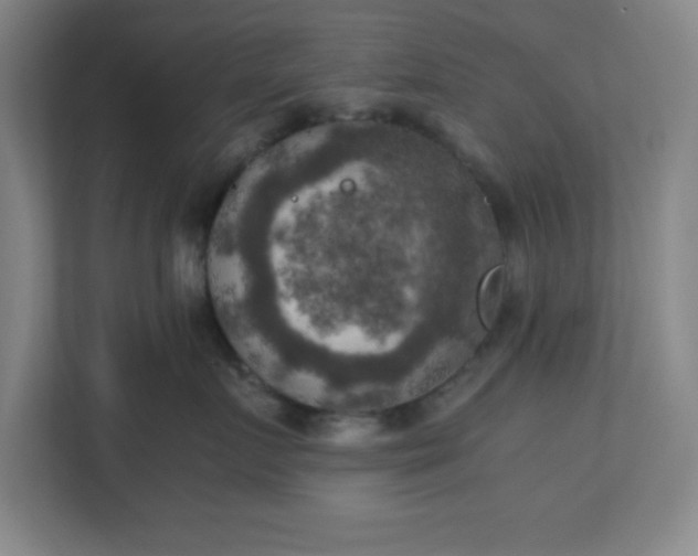 X0000111150719200907071109