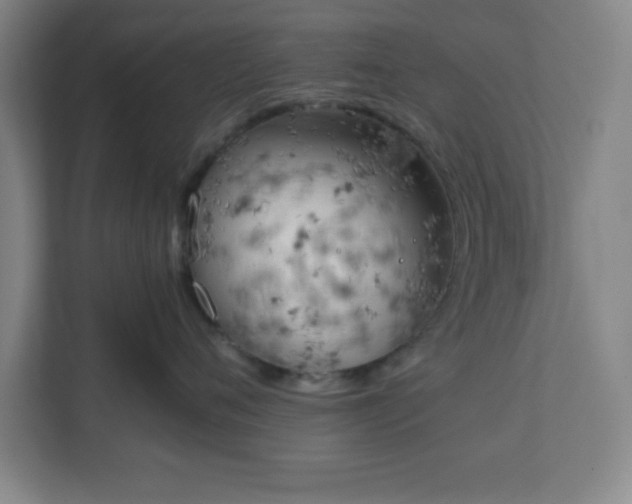 X0000111150720200907071109