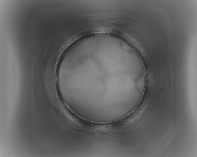 X0000111150721200907071108