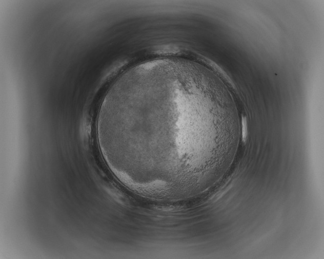 X0000111150723200907071108