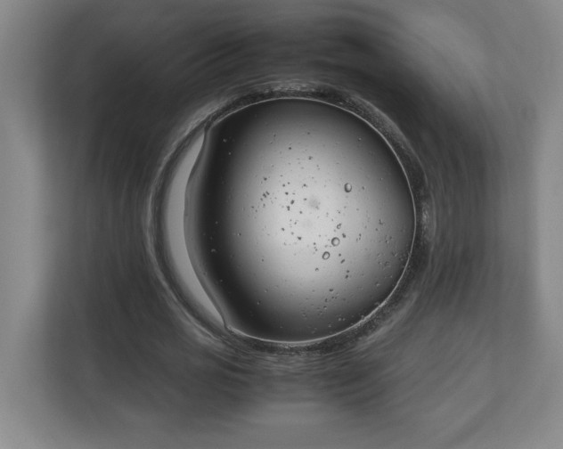 X0000111150725200907071108