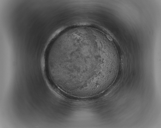 X0000111150726200907071108