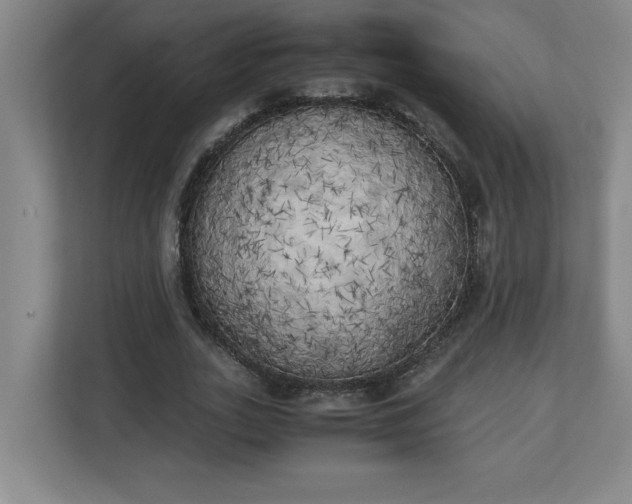 X0000111150727200907071108