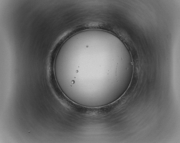 X0000111150728200907071108