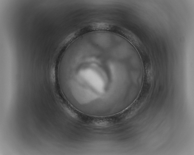 X0000111150729200907071108