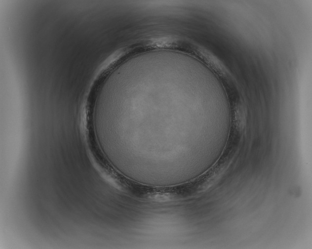X0000111150730200907071108