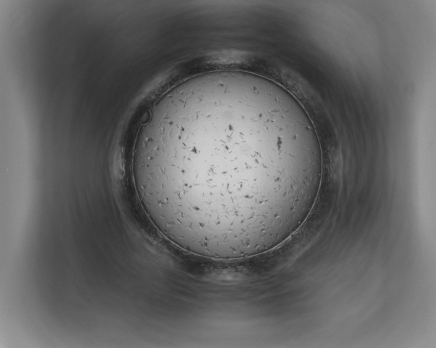 X0000111150731200907071108