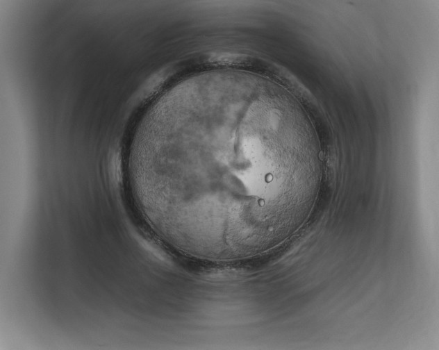 X0000111150734200907071108
