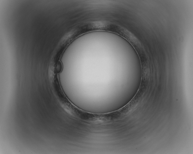 X0000111150736200907071108