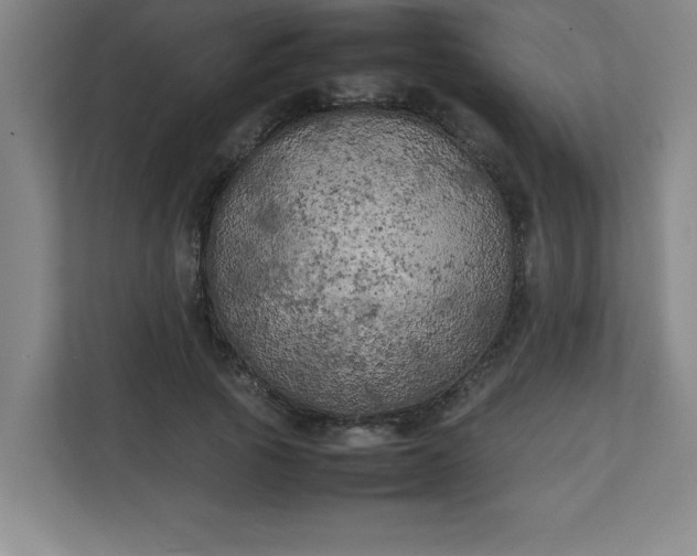 X0000111150737200907071108