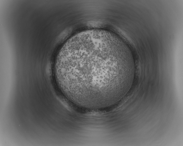 X0000111150738200907071108