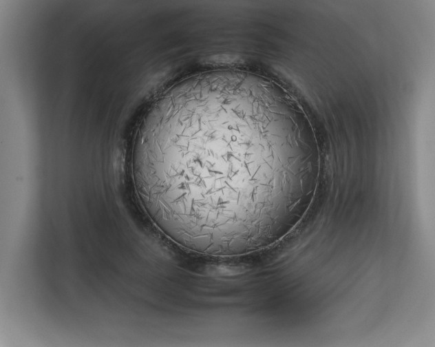X0000111150739200907071108