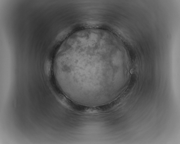 X0000111150742200907071108