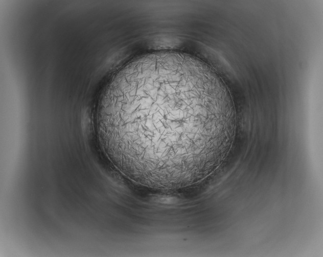 X0000111150743200907071108