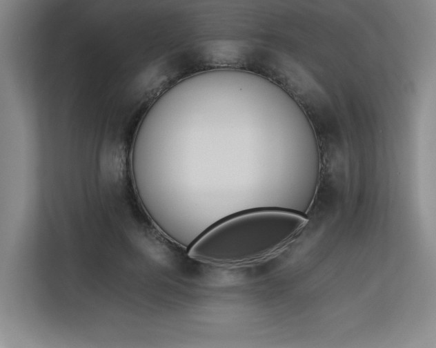 X0000111150744200907071108