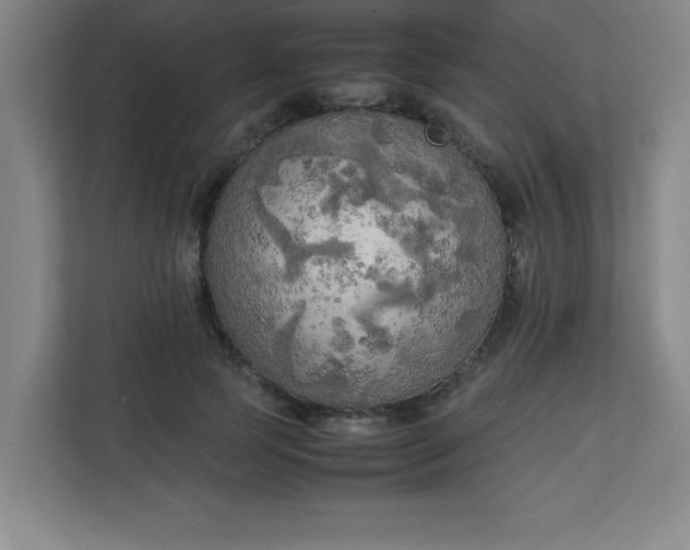 X0000111150745200907071108