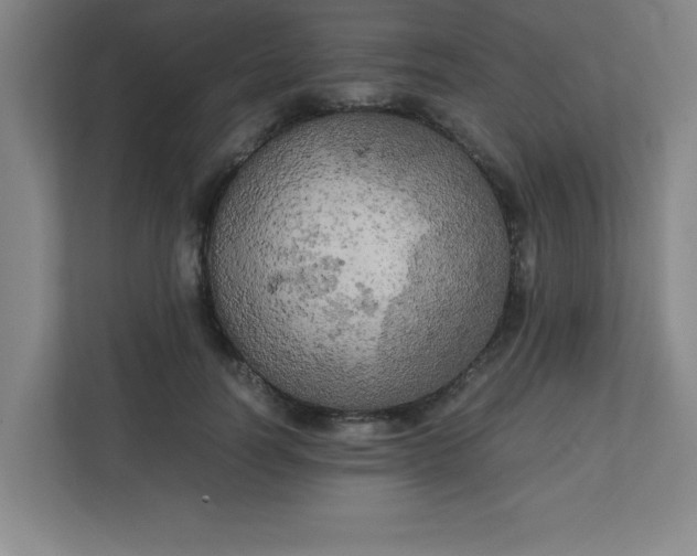 X0000111150746200907071108