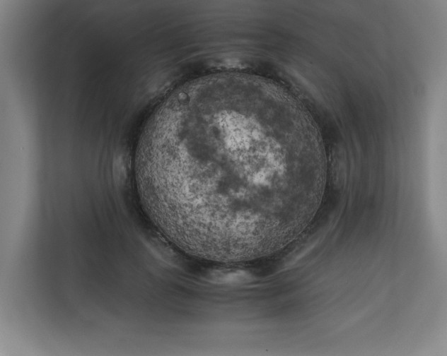 X0000111150747200907071108