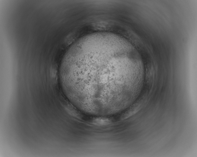 X0000111150749200907071108