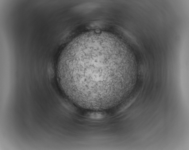 X0000111150751200907071109