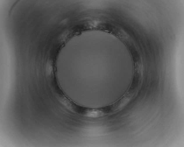 X0000111150754200907071109