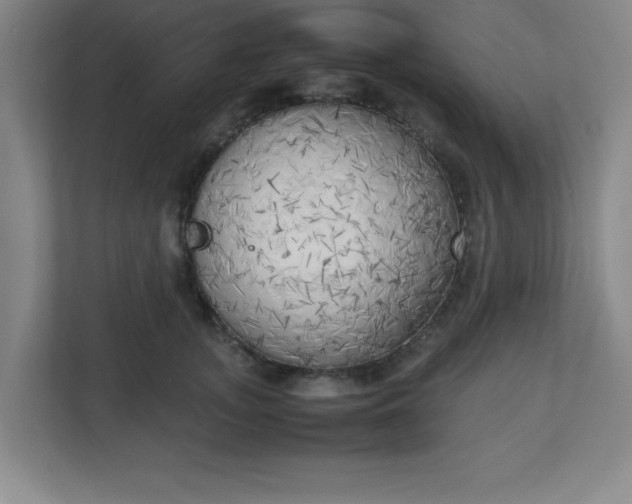 X0000111150755200907071109