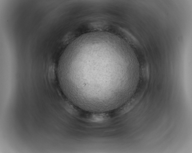 X0000111150757200907071109