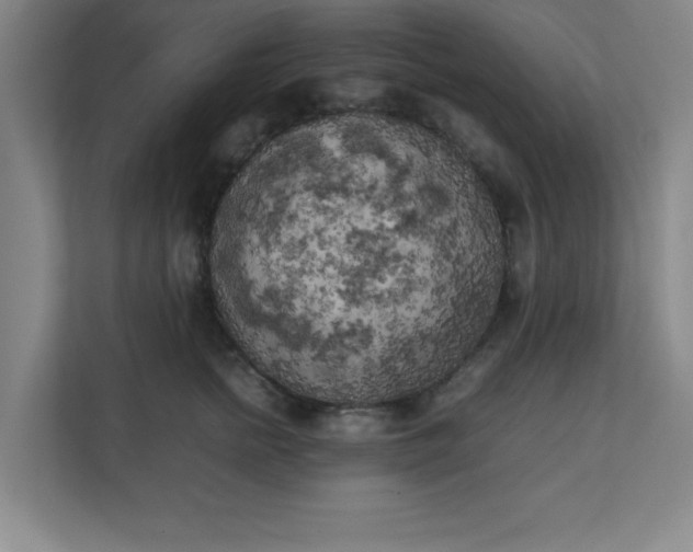 X0000111150758200907071109