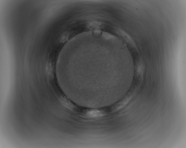 X0000111150759200907071109