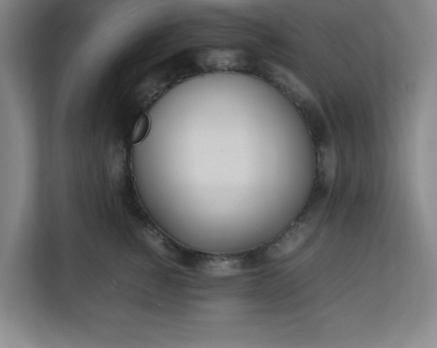 X0000111150760200907071109