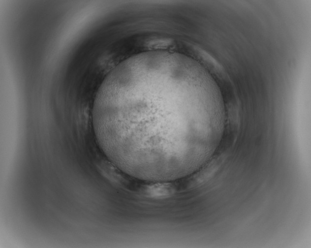X0000111150761200907071109